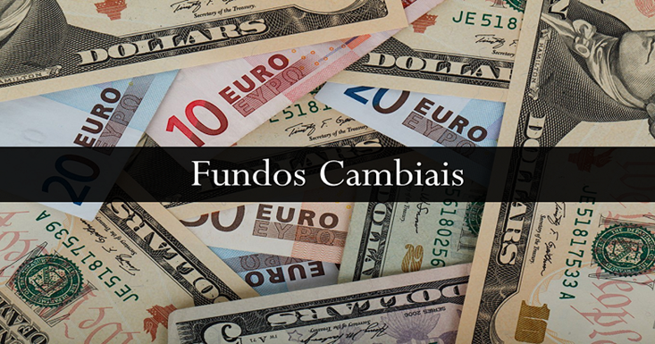 fundo cambial - Renda Fixa: Aprenda Como Investir na Prática